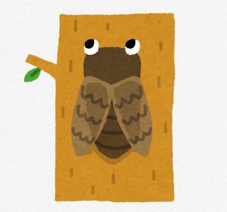 蝉時雨 蝉時雨／ナツノセ｜音楽ダウンロード・音楽配信サイト mora ～“WALKMAN