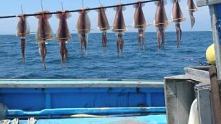 Thumbnail of post image 131