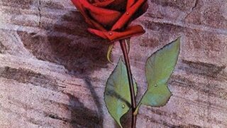 Thumbnail of post image 064